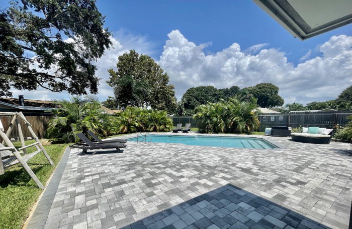 Dolphin House - Image 14