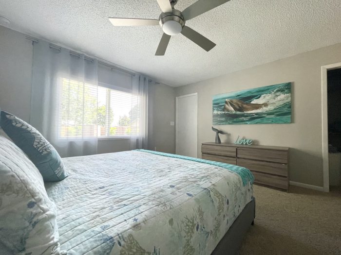Dolphin House - Image 25