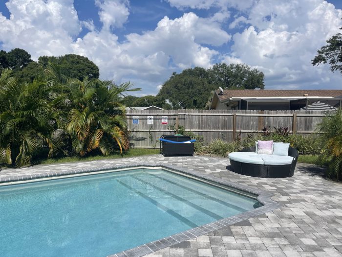 Dolphin House - Image 4